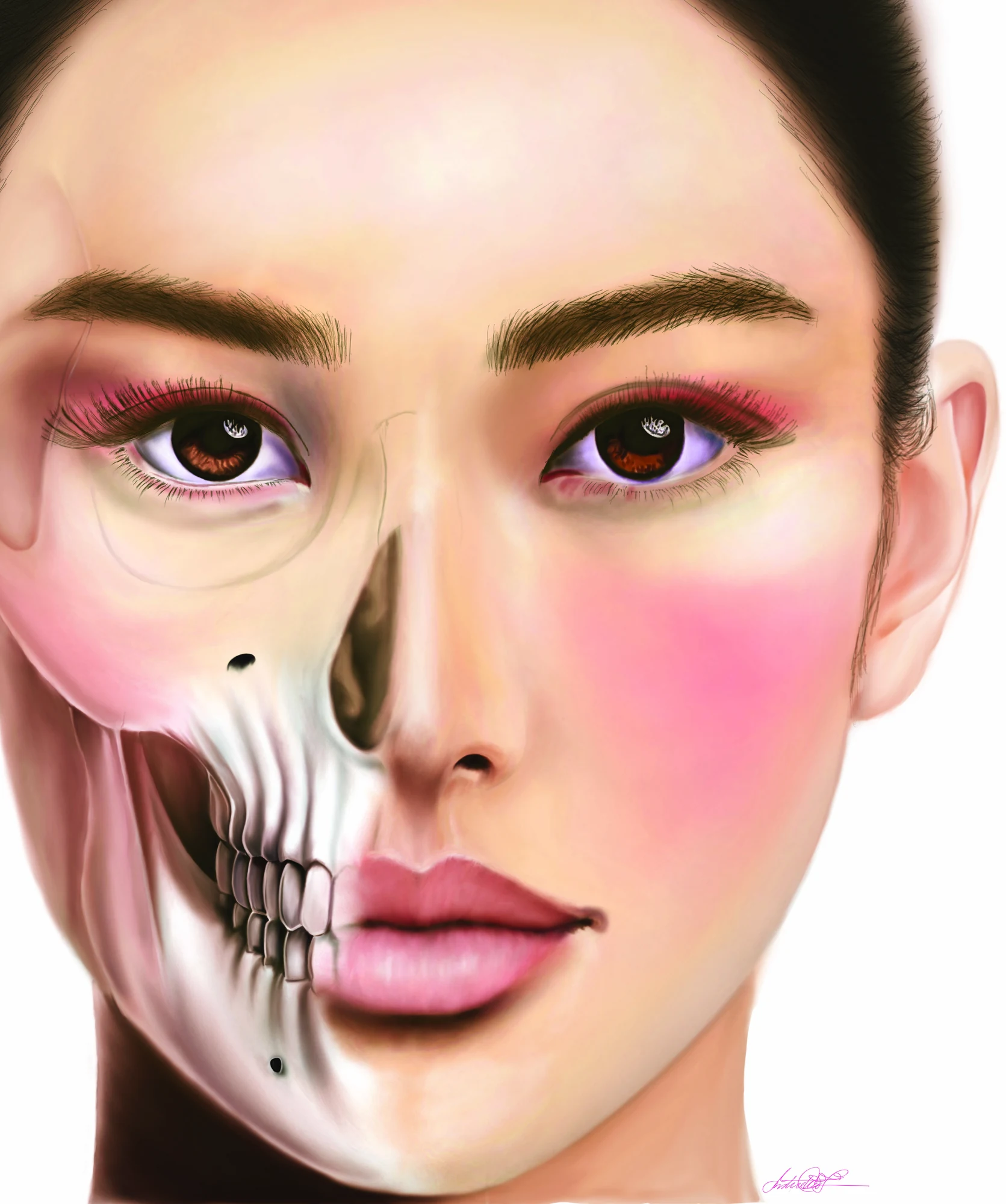 Craniofacial science artwork by Dr. Justine C. Lee